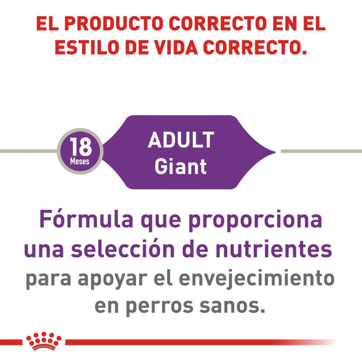 Royal Canin Giant Adult, Alimento para Perro, perro, Royal Canin, Mister Mascotas Royal Canin Giant Adult, Alimento para Perro, perro, Royal Canin, Mister Mascotas